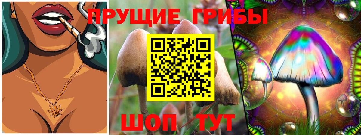 продажа наркотиков  Вход с VPN  Осинники  Псилоцибиновые грибы GOLDEN TEACHER 