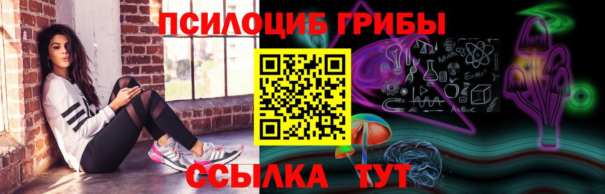 Псилоцибиновые грибы ЛСД Осинники